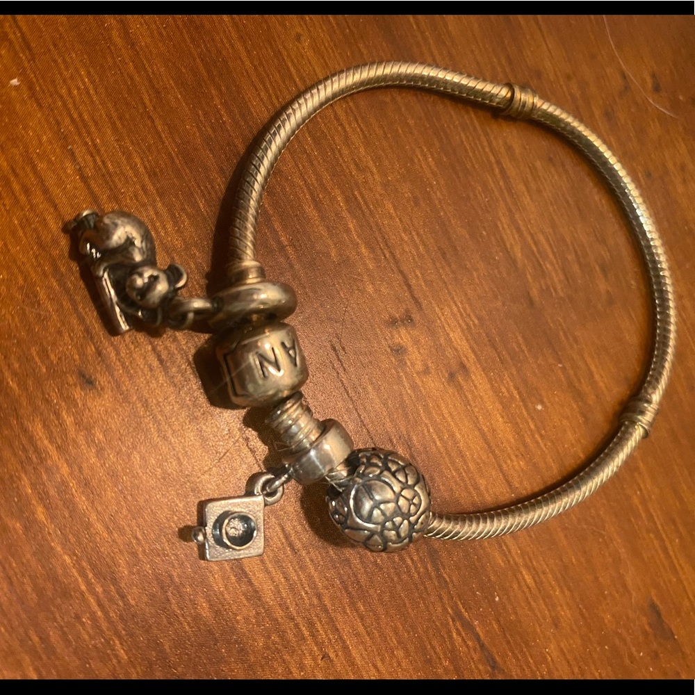 Pandora bundle